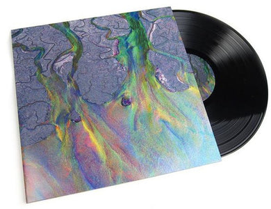 Alt-J: An Awesome Wave (Vinyl LP)