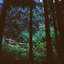 Stein & Mari: Stein & Mari's Daydream Community (Vinyl LP)