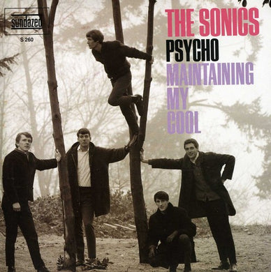 Sonics: Psycho / Maintaining My Soul (7-Inch Single)