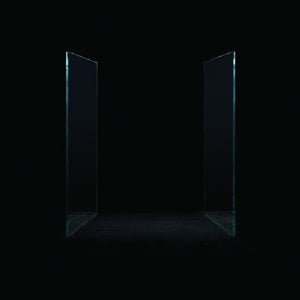 Wax Fang: Mirror Mirror (Vinyl LP)