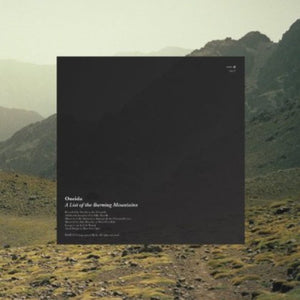 Oneida: A List Of The Burning Mountains (Vinyl LP)