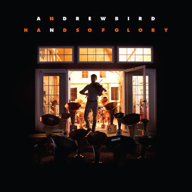 Andrew Bird: Hands Of Glory (Vinyl LP)