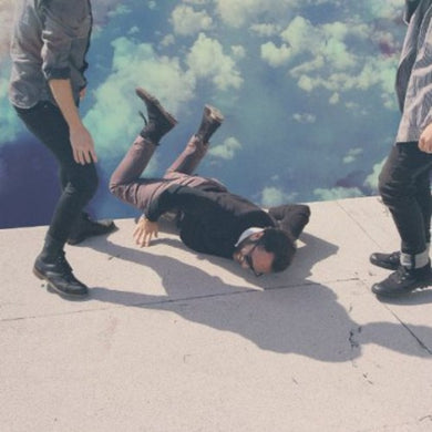 Local Natives: Hummingbird (Vinyl LP)