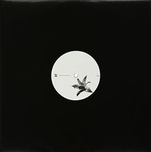 Lucy: Beelines for Working Bees (12-Inch Single)