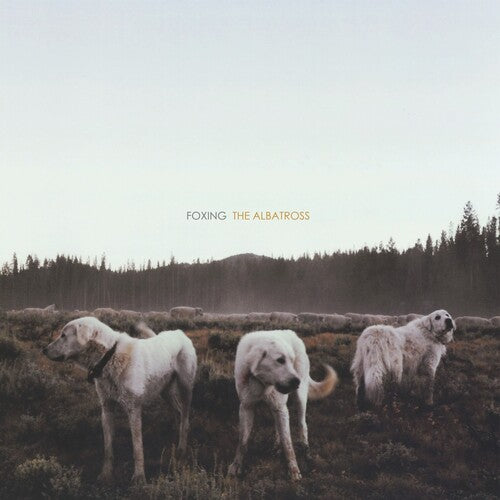 Foxing: Albatross (Vinyl LP)