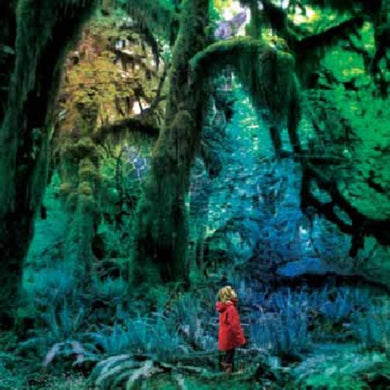 Gardner, Jacco: Cabinet of Curiosities (Vinyl LP)