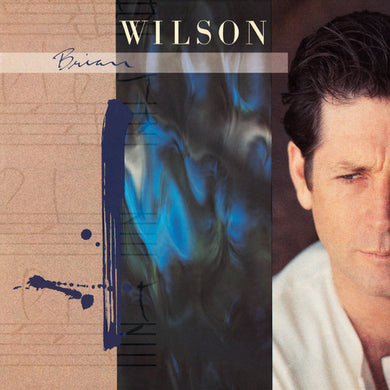 Brian Wilson: Brian Wilson (Vinyl LP)
