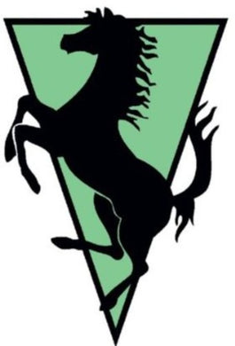 Vondelpark: Dracula/Closer (12-Inch Single)