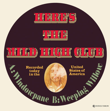 Mild High Club: Windowpane / Weeping Willow (7-Inch Single)