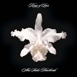 Kings of Leon: Aha Shake Heartbreak (Vinyl LP)