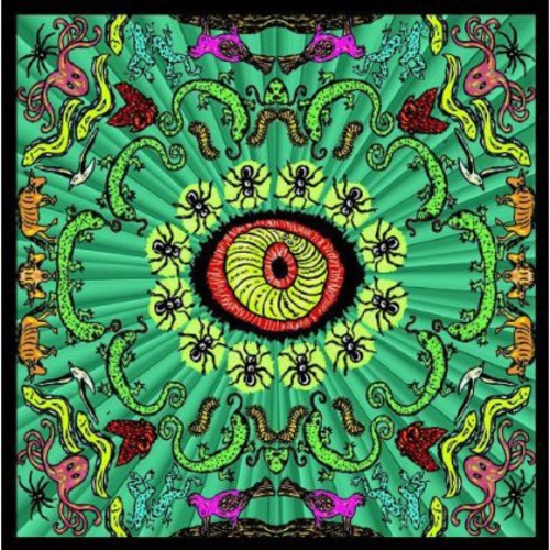 The Handsome Family: Wilderness (Vinyl LP)