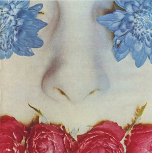 Sulk: Graceless (Vinyl LP)