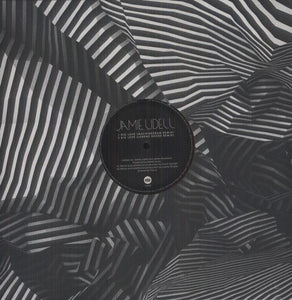 Lidell, Jamie: Big Love Remixes (12-Inch Single)