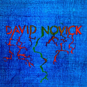Novick, David: David Novick (Vinyl LP)