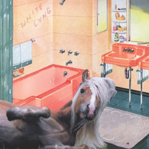 White Lung: Songs of the South (7-Inch Single)