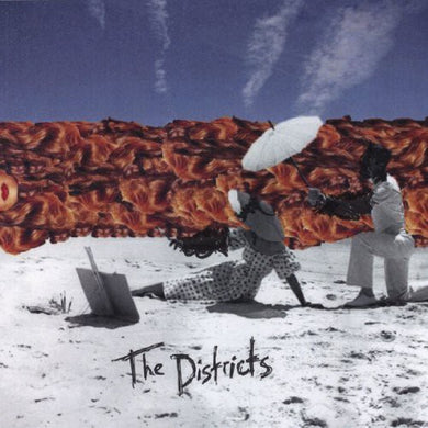 Districts: The Districts (Vinyl LP)