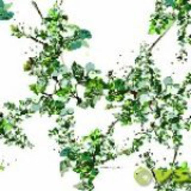 Reboot: Be Tougher / Letters (12-Inch Single)