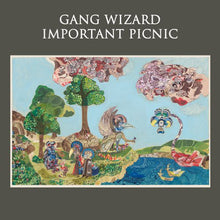 Gang Wizard: Important Picnic (Vinyl LP)