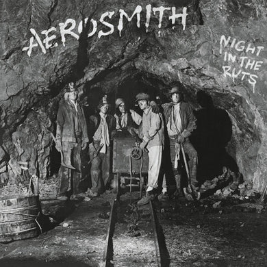Aerosmith: Night in the Ruts (Vinyl LP)