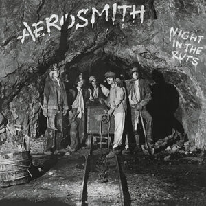 Aerosmith: Night in the Ruts (Vinyl LP)