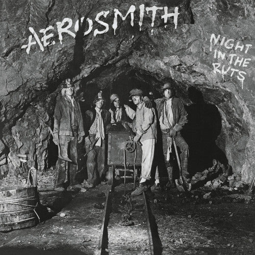 Aerosmith: Night in the Ruts (Vinyl LP)