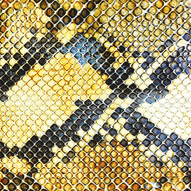 The Amazing Snakeheads: Amphetamine Ballads (Vinyl LP)