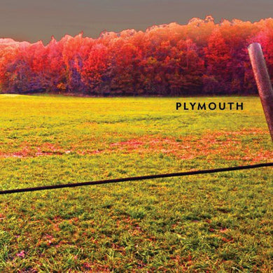 Plymouth: Plymouth (Vinyl LP)