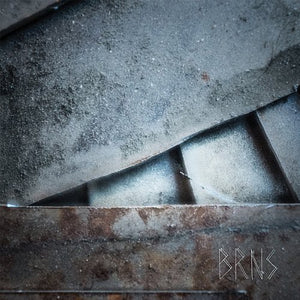 Brns: 45 (Vinyl LP)