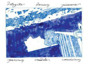 Small Cruel Party: Unroof the House of the Fishes (Vinyl LP)