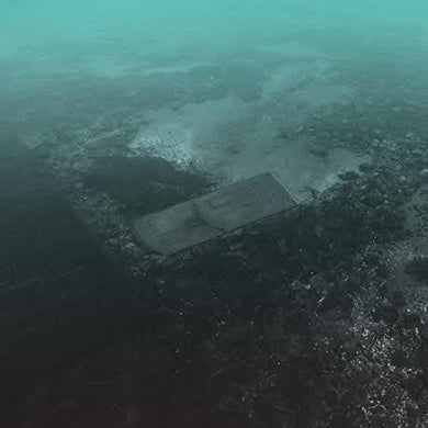 Ps I Love You: For Those Who Stay (Vinyl LP)