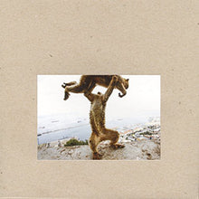 Shellac: Dude Incredible (Vinyl LP)
