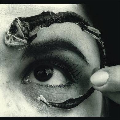 Mr. Bungle: Disco Volante (Vinyl LP)