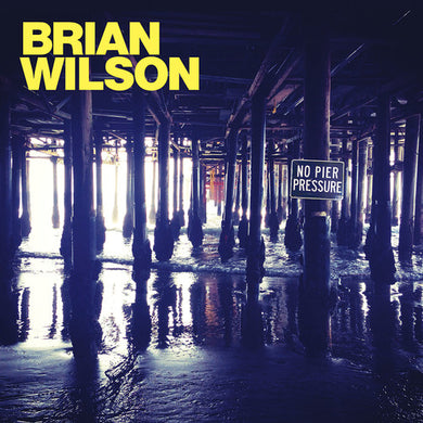 Brian Wilson: No Pier Pressure (Vinyl LP)
