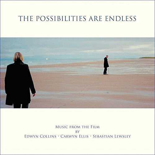 Carwyn Ellis: The Possibilities Are Endless (Original Soundtrack) (Vinyl LP)