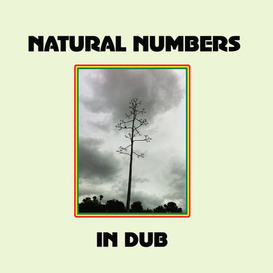 Natural Numbers: Natural Numbers in Dub (Vinyl LP)