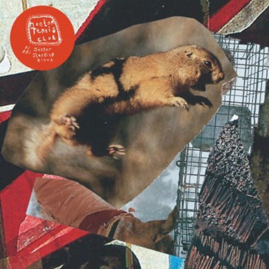 Hooton Tennis Club: Jasper / Standing Knees (7-Inch Single)