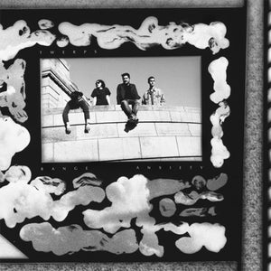 Twerps: Range Anxiety (Vinyl LP)