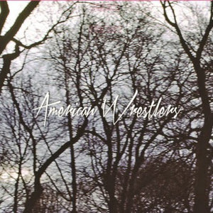 American Wrestlers: I Can Do No Wrong / the Rest of You (7-Inch Single)