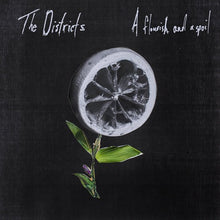 The Districts: Flourish and a Spoil (Vinyl LP)