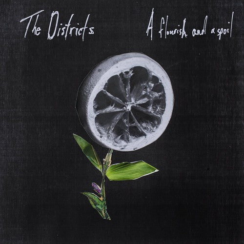 Districts: Flourish and a Spoil (Vinyl LP)