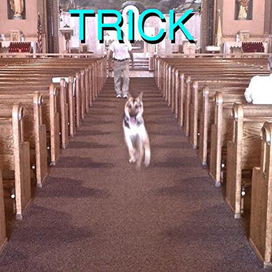 Alex G: Trick (Vinyl LP)