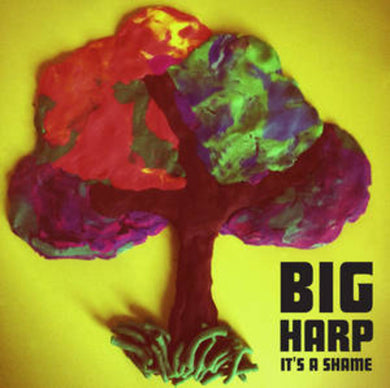 Big Harp: It's a Shame (7-Inch Single)