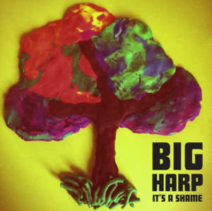 Big Harp: It's a Shame (7-Inch Single)
