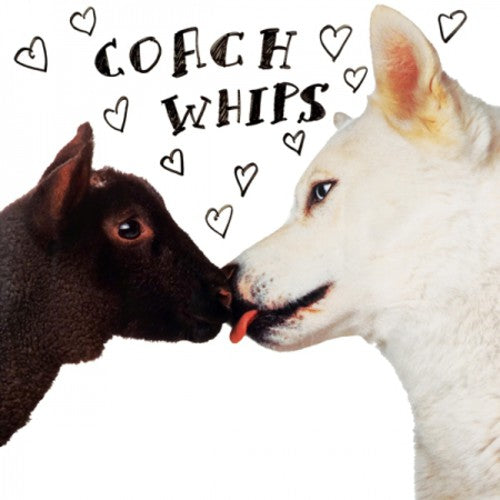 Coachwhips: Bangers Vs. Fuckers (Vinyl LP)