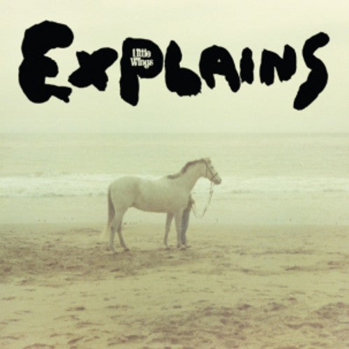 Little Wings: Explains (Vinyl LP)