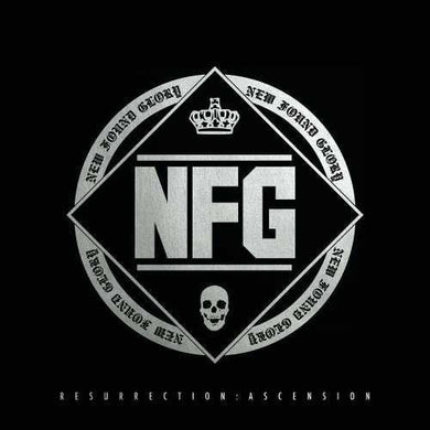 New Found Glory: Resurrection: Ascension (Vinyl LP)