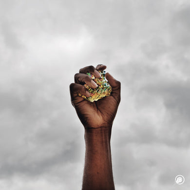 Comet Is Coming: Prophecy (12-Inch Single)