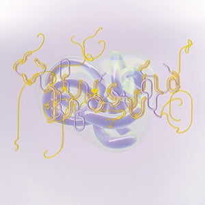Bjork: Black Lake: Bloom Mix (Vinyl LP)
