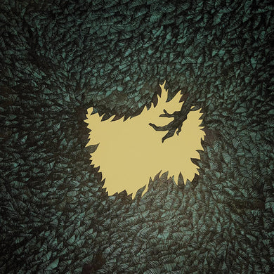Hop Along: Get Disowned (Vinyl LP)