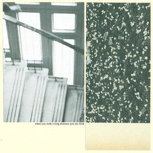 Mothers: When You Walk a Long Distance You Are Tired (Vinyl LP)